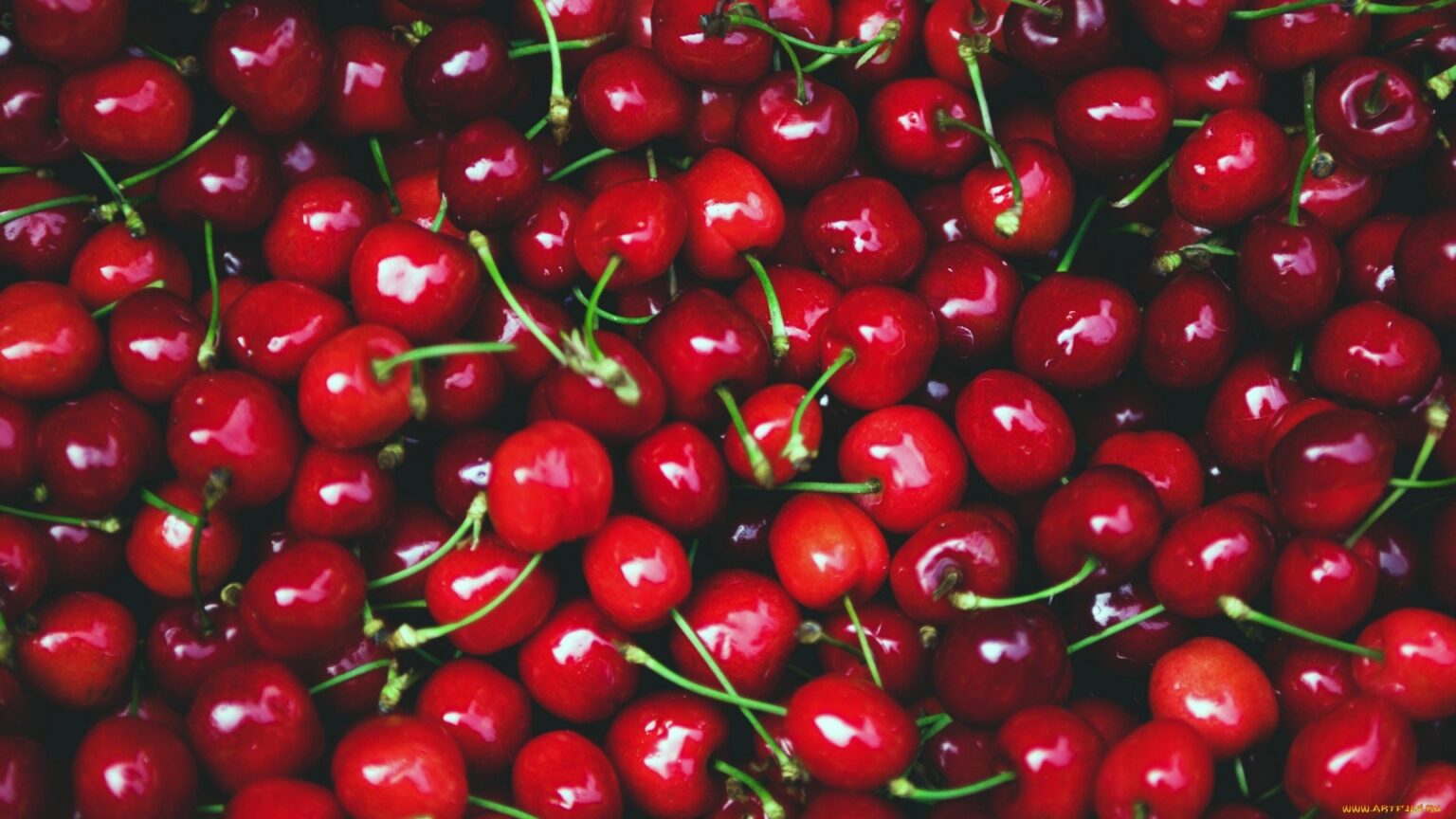 CHERRY FESTIVALS • EOS TOURS Cyprus