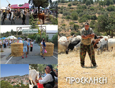 11th Shepherd's Fair — Food & Drink