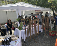 Afamia 2026 - Grape Festival — Food & Drink