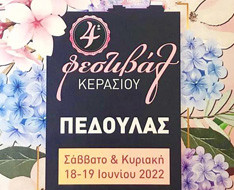 Cherry Festivals — Food & Drink