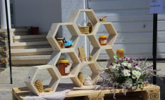 International Bee Day Festival — Food & Drink