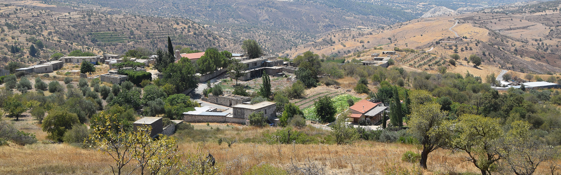 Traditional Festival of Statos - Agios Fotios — Food & Drink