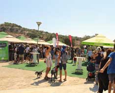 Vegan Flavours Street Festival — Food & Drink